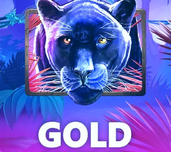 Book Of Panther Wild Dawn slot game