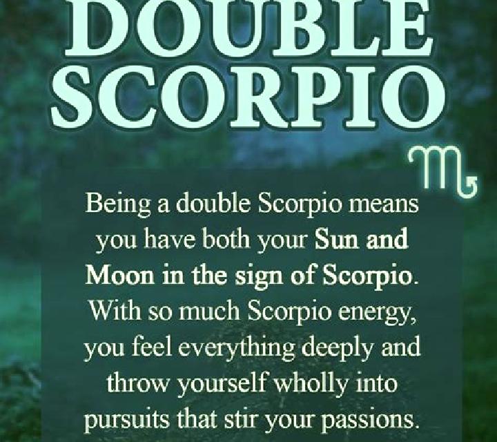 Book of Scorpio Double Chance slot game