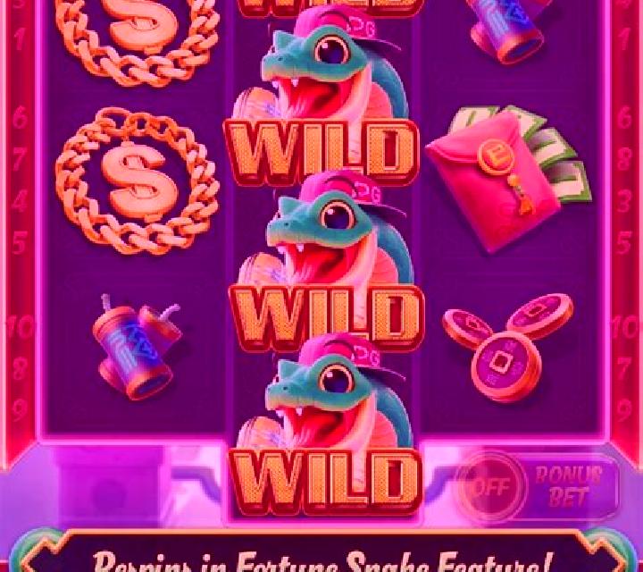 Book of Snake slot