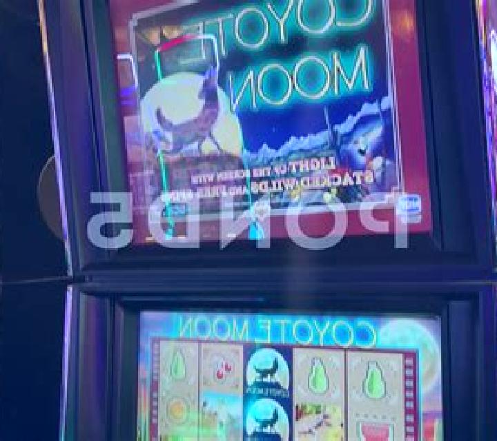 Book of the Full Moon online slot
