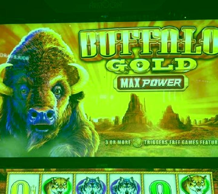 Book of the Golden Buffalo slot machine
