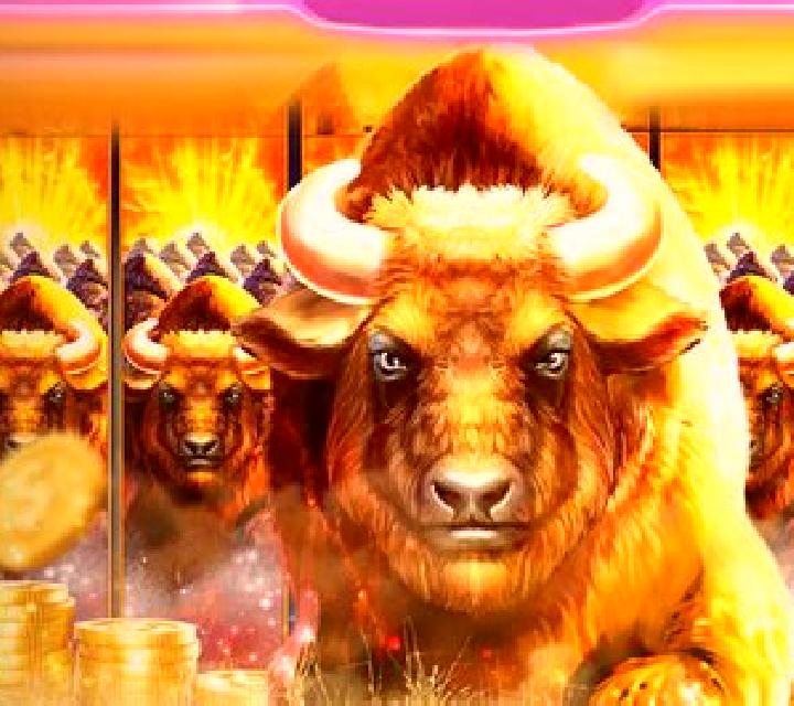 Book of Wild slot game