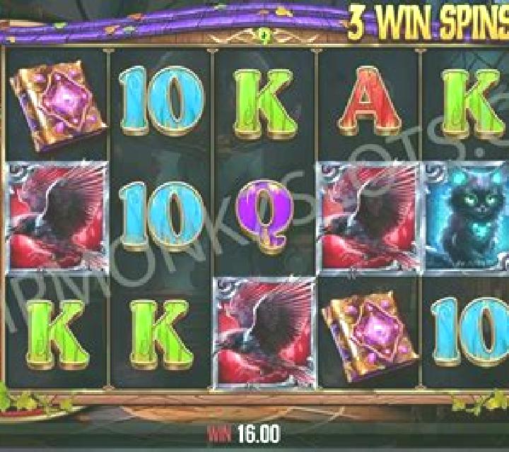 Book of Witches slot game