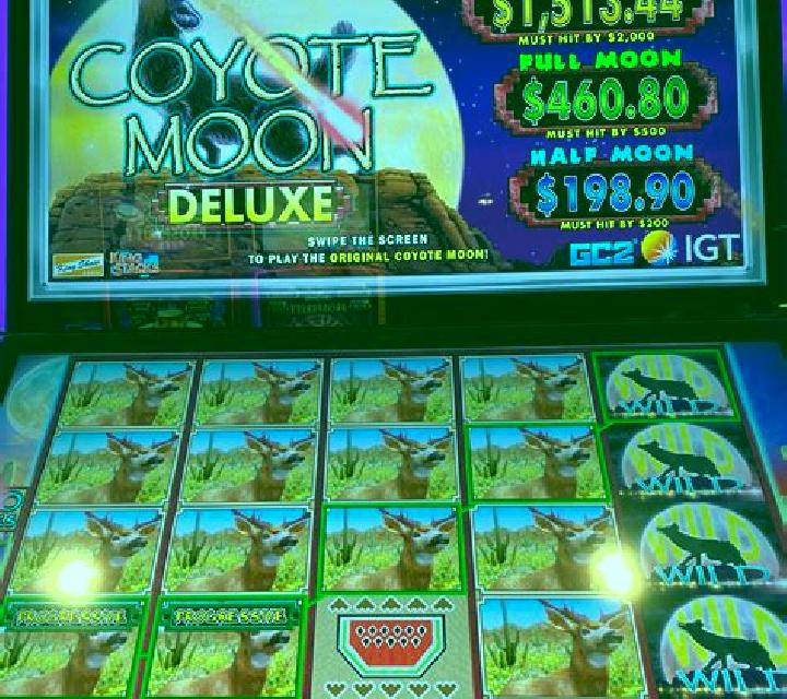 Book Of Wolves - Full Moon slot machine