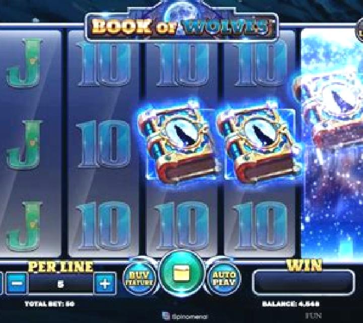 Book Of Wolves (Spinomenal) slot machine