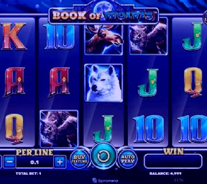 Book Of Wolves (Spinomenal) slot