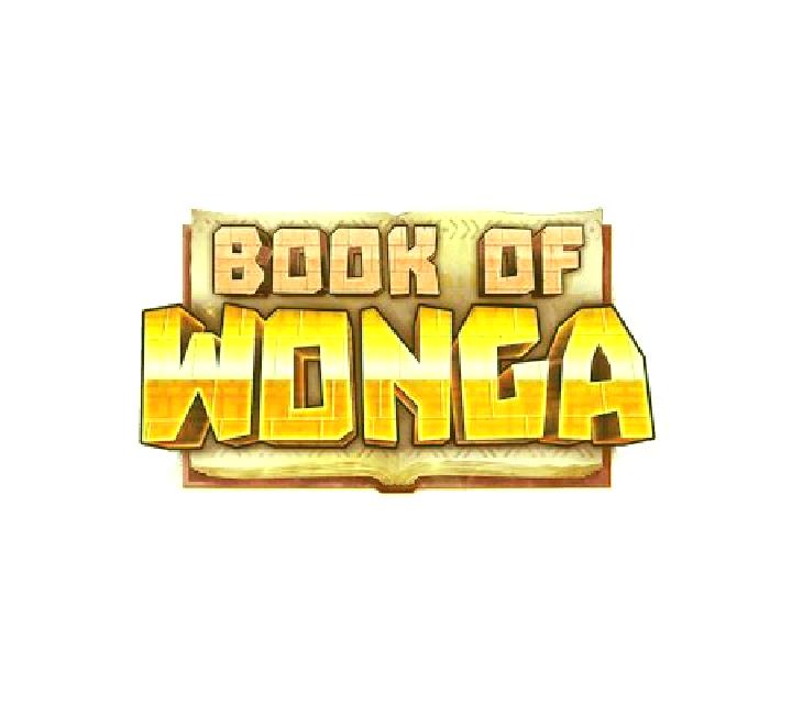 Book of Wonga slot game