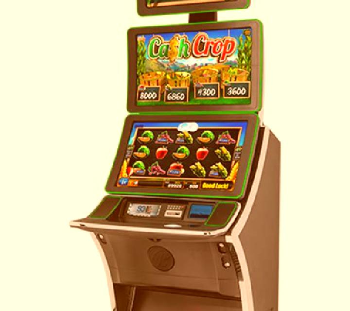 Booming Fruits 27 slot machine