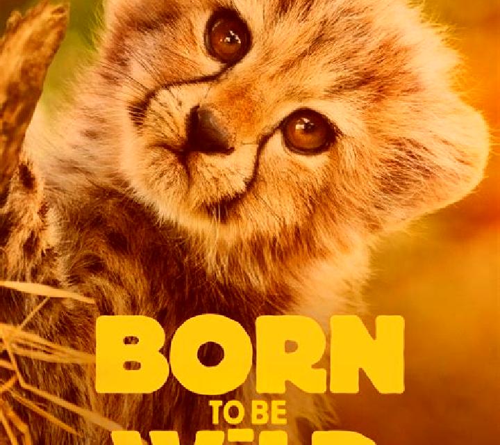 Born Wild online slot