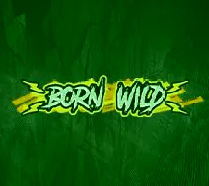 Born Wild slot game