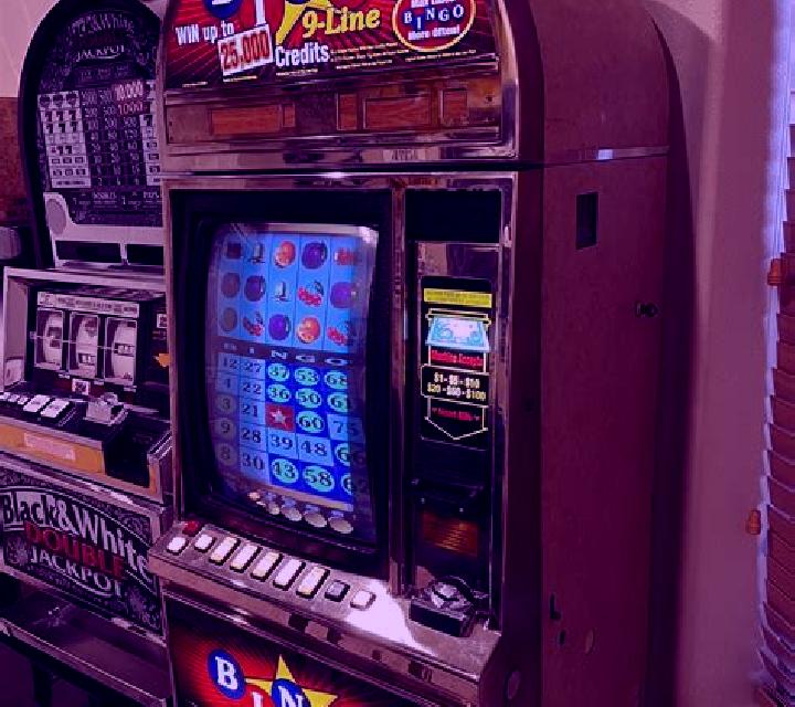 Boto Bingo slot machine
