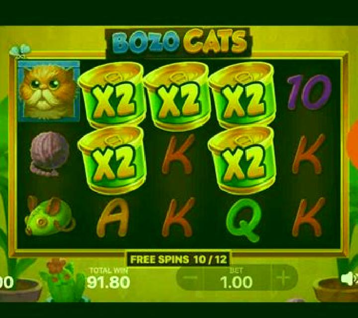 Bozo Cats slot