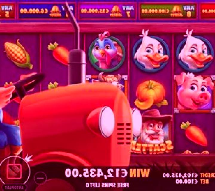Brasil Farm slot machine