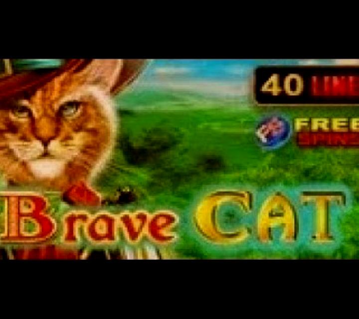 Brave Cat slot game