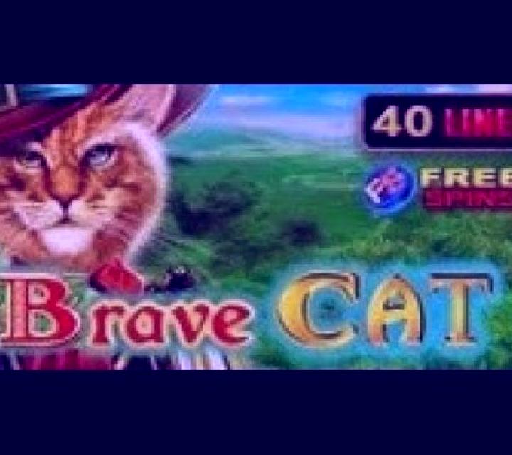 Brave Cat slot