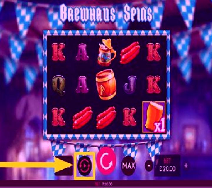 Brewhaus Spins slot