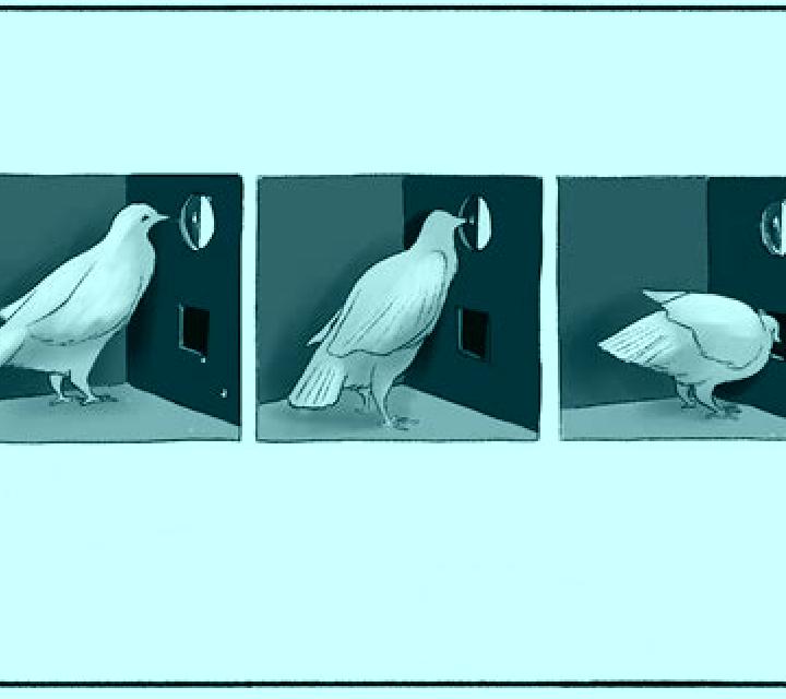 Broadway Pigeon slot