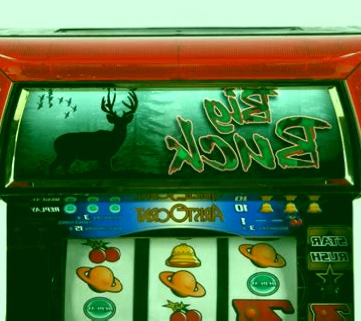 Bronco Buck$ slot machine