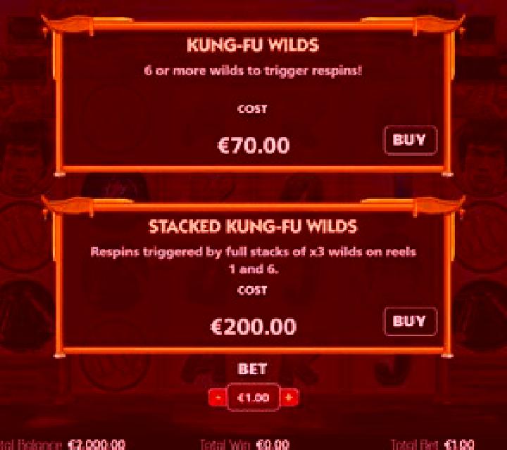 Bruce Lee Kung Fu Wilds slot game
