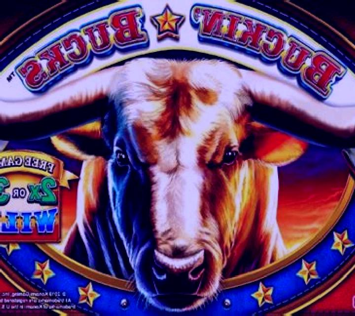 Buckin Bucks slot