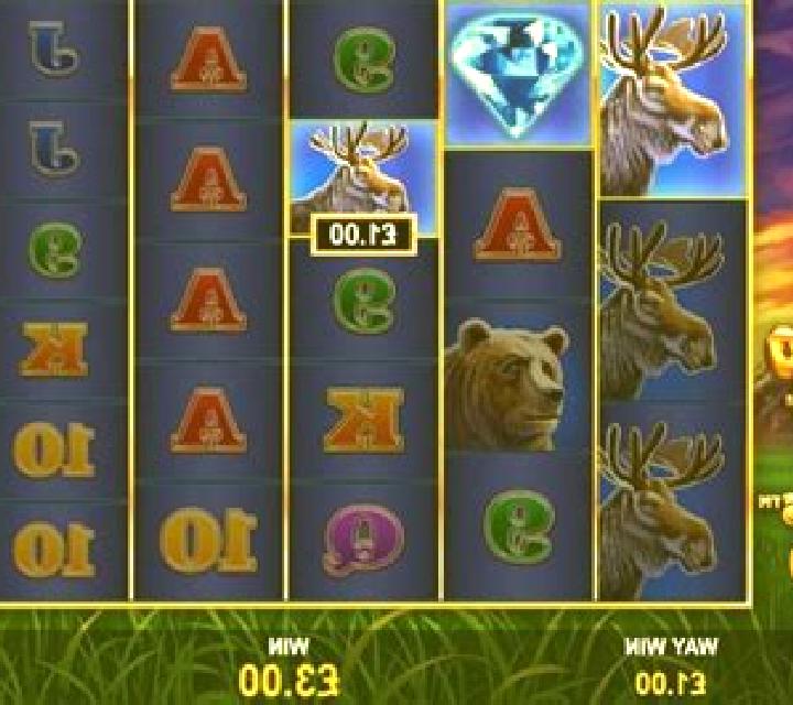 Buffalo Blitz Megaways slot