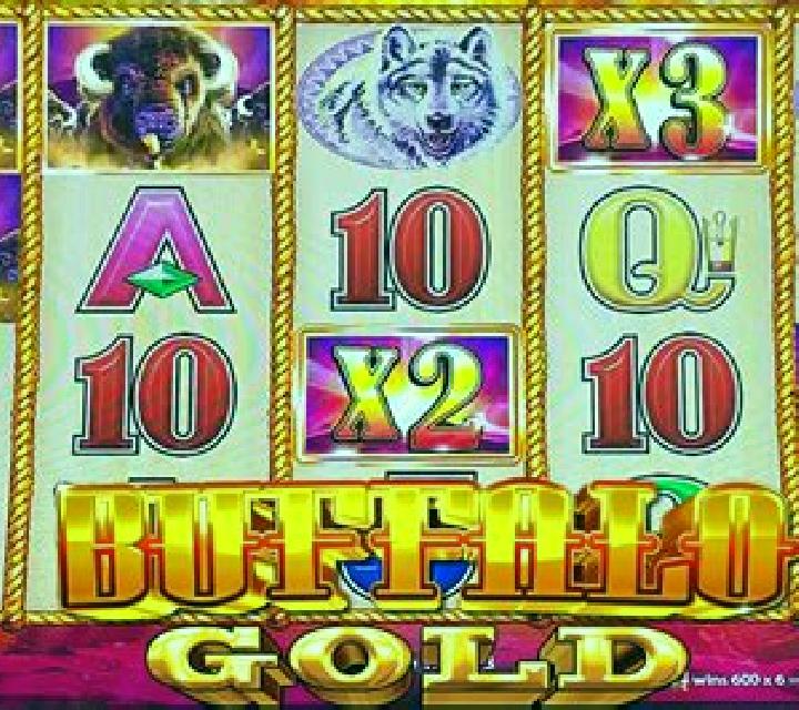 Buffalo Bonus slot machine