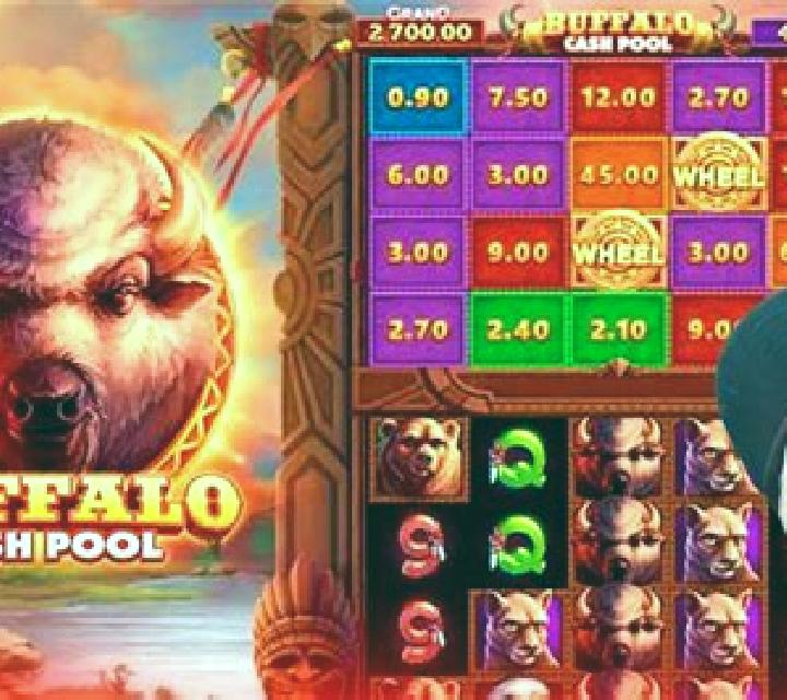 Buffalo Cash Pool slot