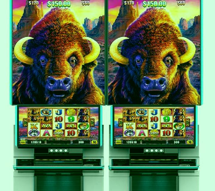 Buffalo Chief (Aristocrat) online slot