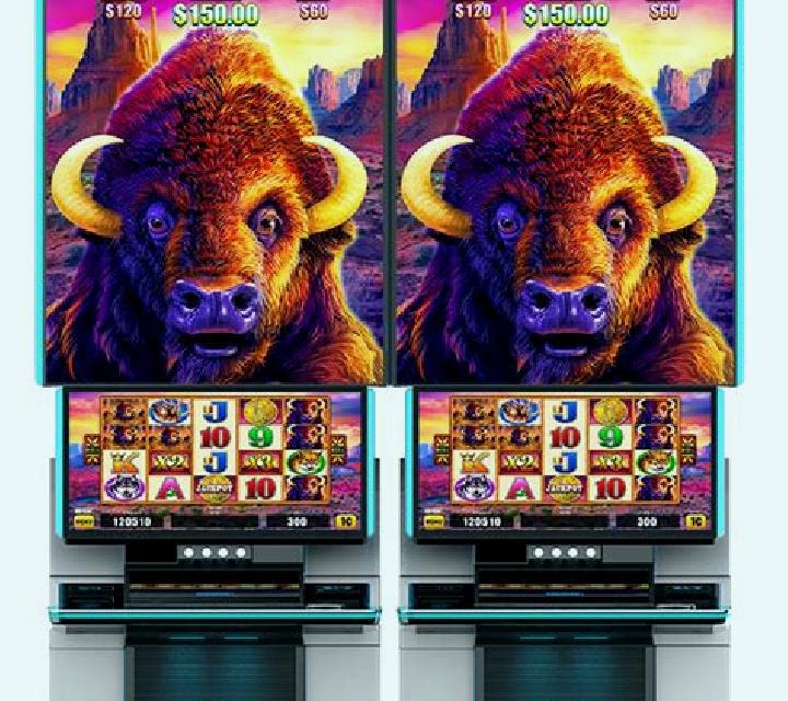 Buffalo Chief (Aristocrat) slot game