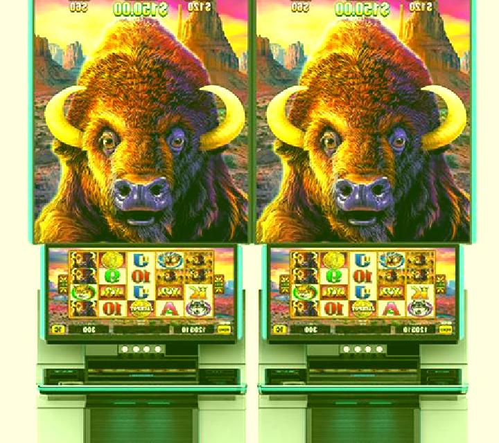 Buffalo Collector online slot