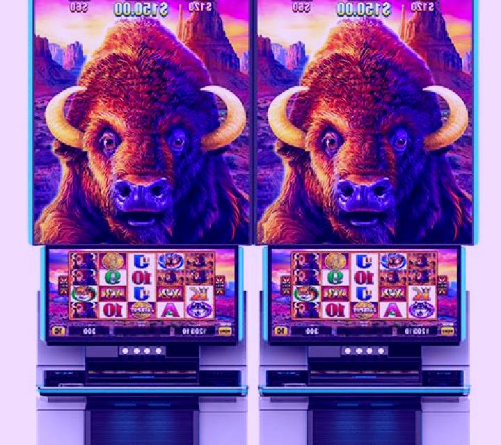 Buffalo Creek slot machine
