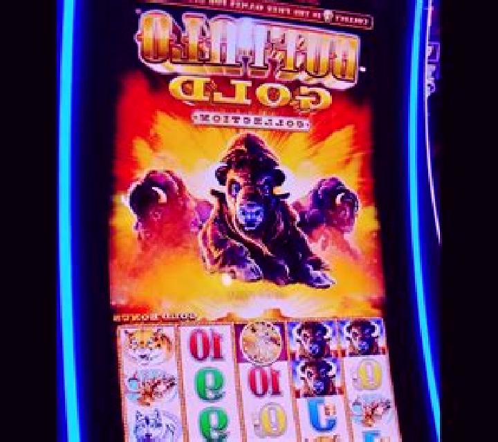 Buffalo Gold Collection slot game