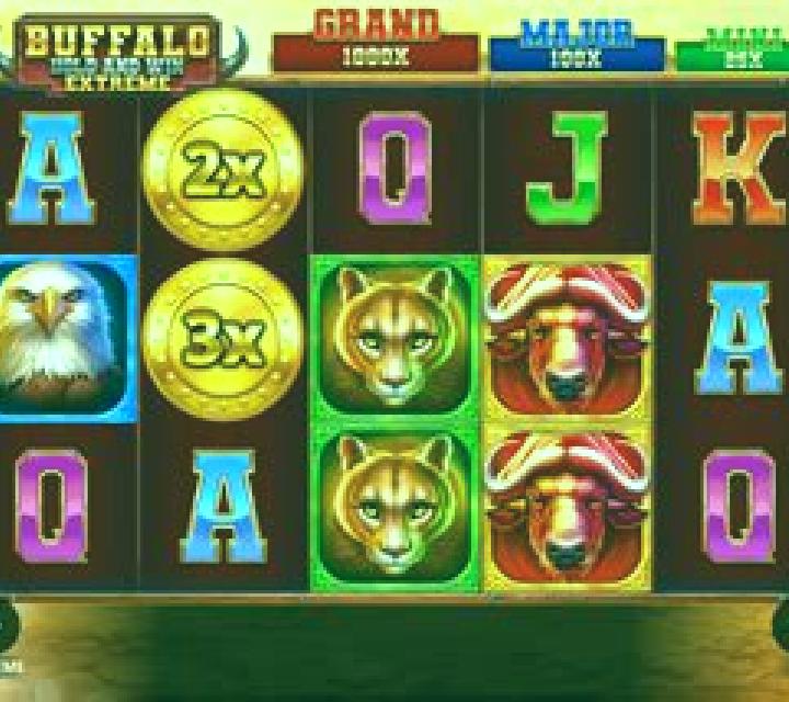 Buffalo Hold and Win Extreme slot