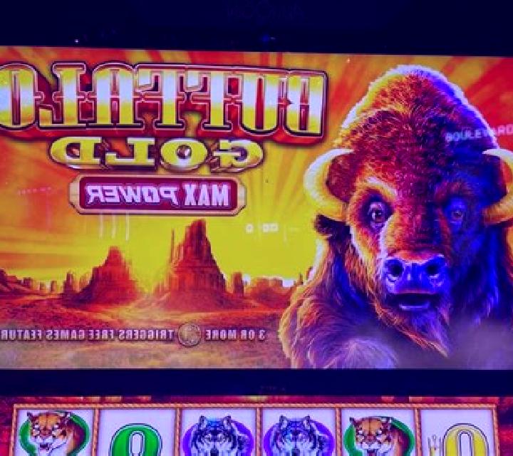 Buffalo of Wealth slot machine