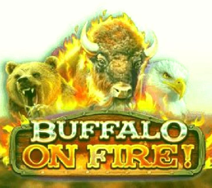 Buffalo on Fire! slot