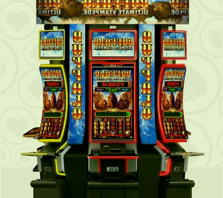 Buffalo Race slot machine