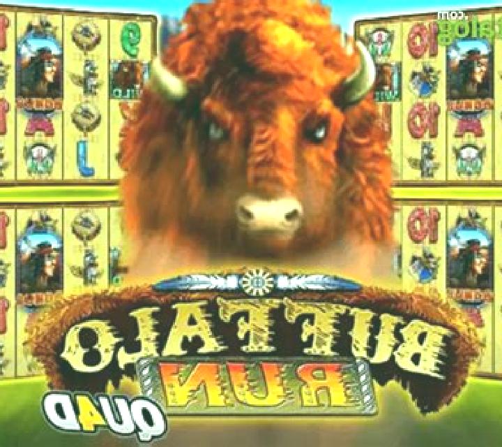 Buffalo Run Quad slot