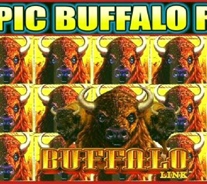 Buffalo Run slot machine