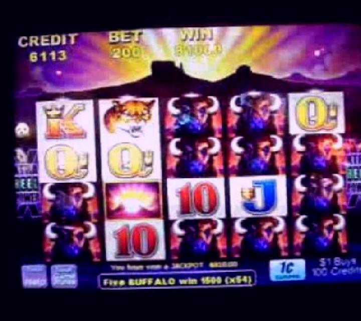 Buffalo Run slot