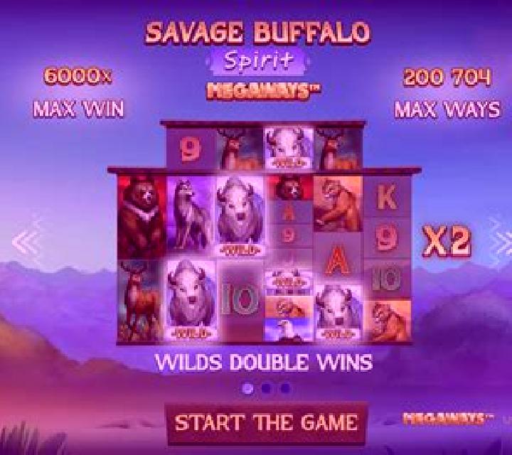Buffalo Spirit (FBM Digital Systems) slot machine