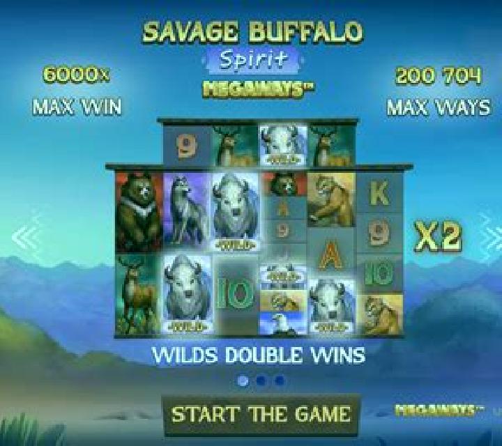 Buffalo Spirit (WMS) slot game