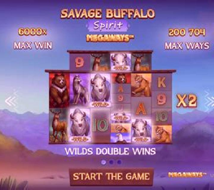 Buffalo Spirit (WMS) slot
