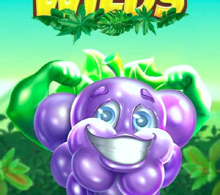 Buffalo Wilds (Spinberry) slot machine