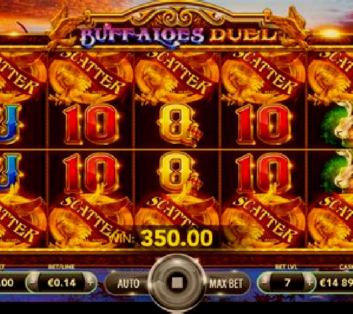 Buffaloes Duel slot game