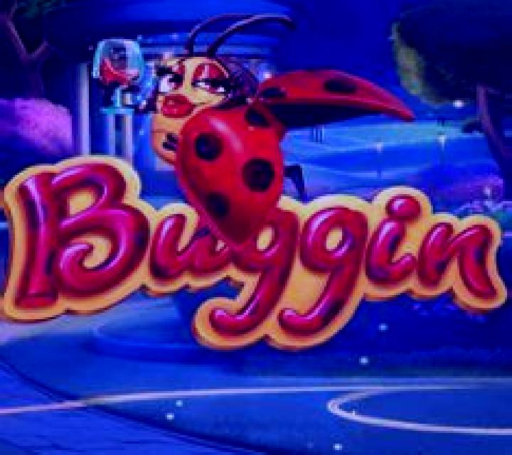 Buggin slot machine
