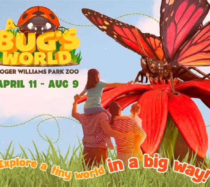 Bug s World slot game