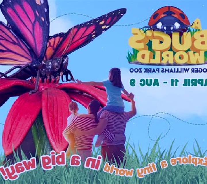 Bug s World slot