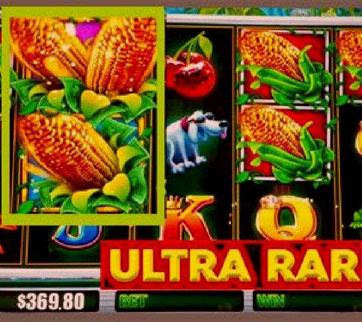 Bumper Crop slot machine