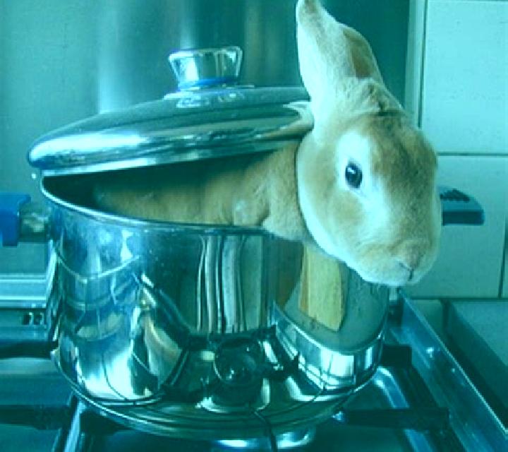 Bunny Boiler slot