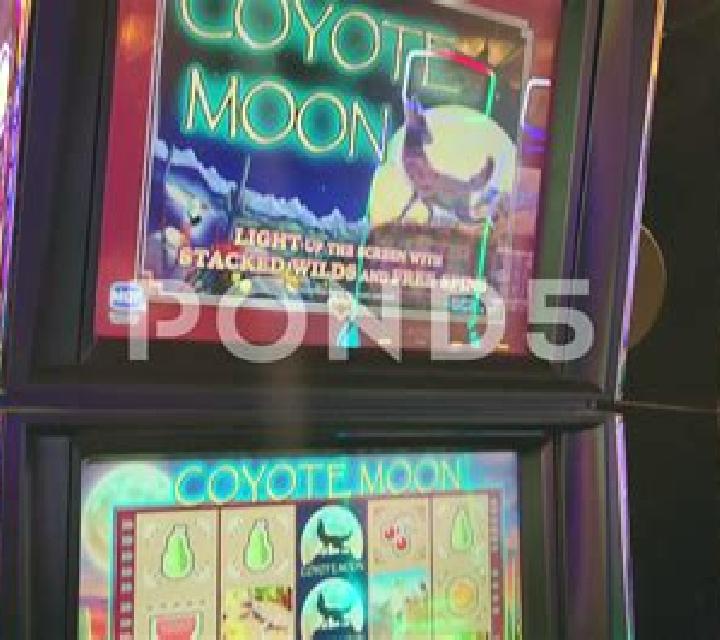 Bunny to the Moon online slot